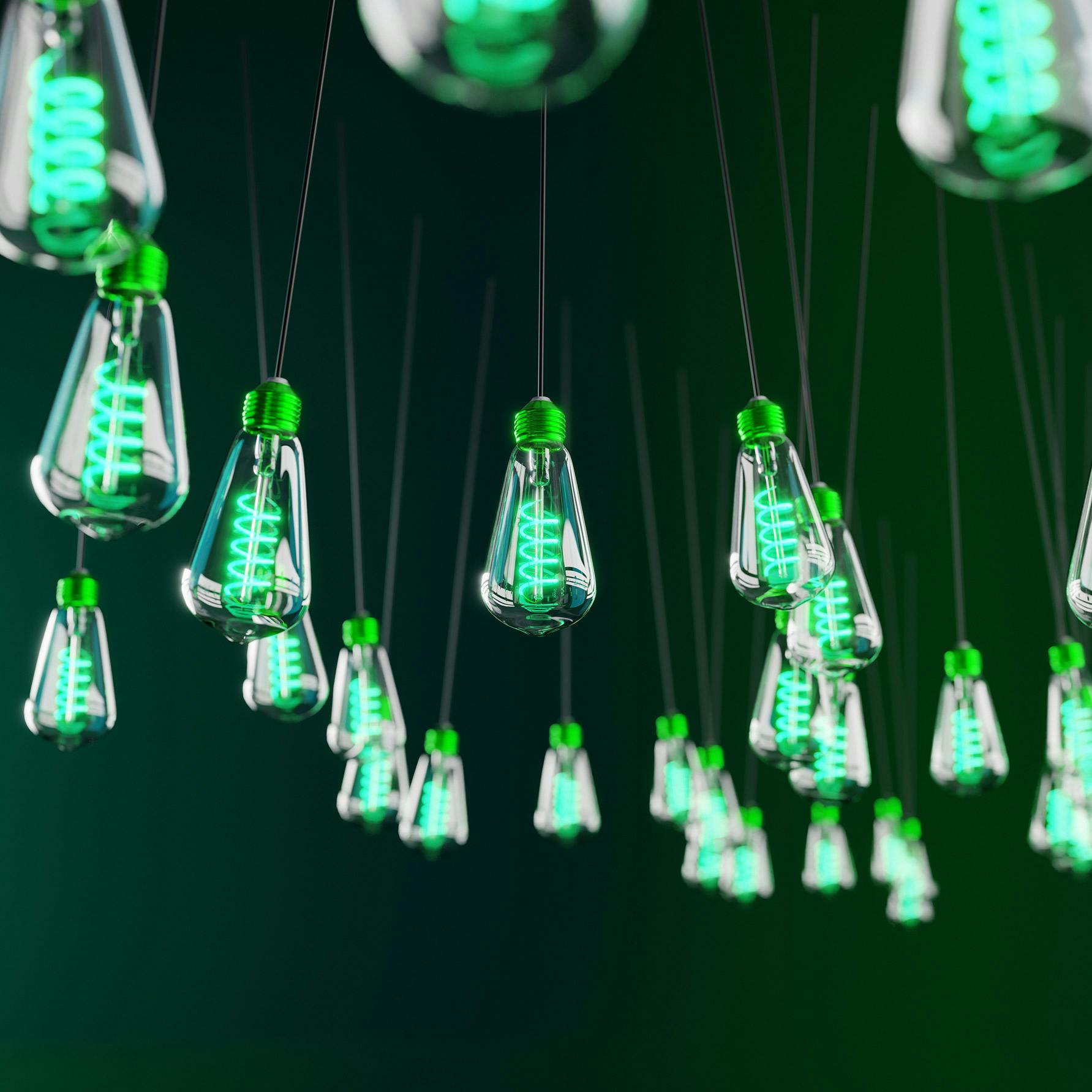 Green lightbulbs hanging