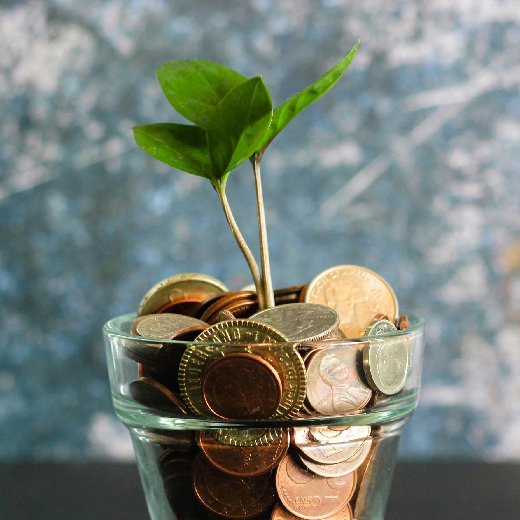Plant growing out of a pot of coins