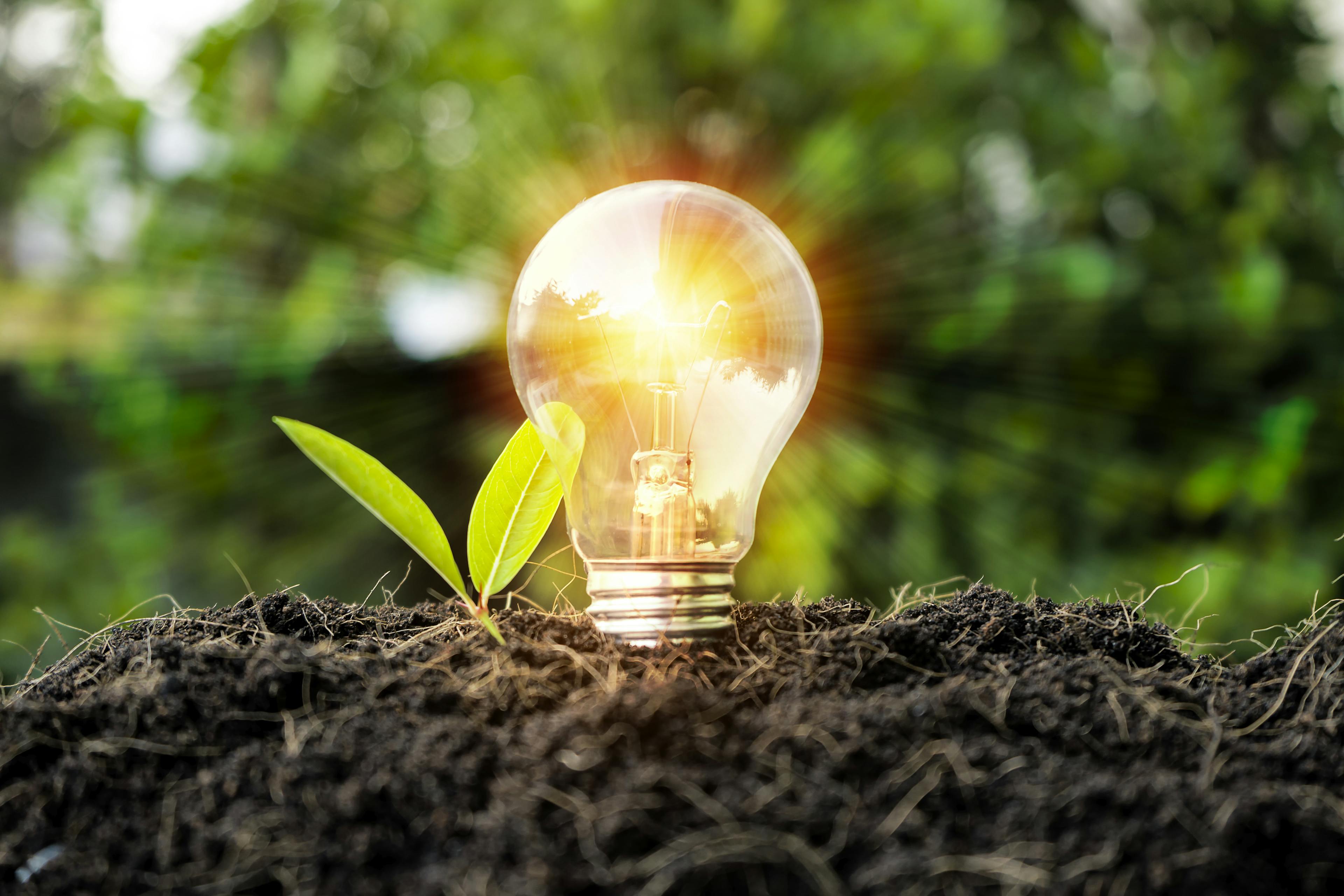 How to Improve Business Energy Efficiency
