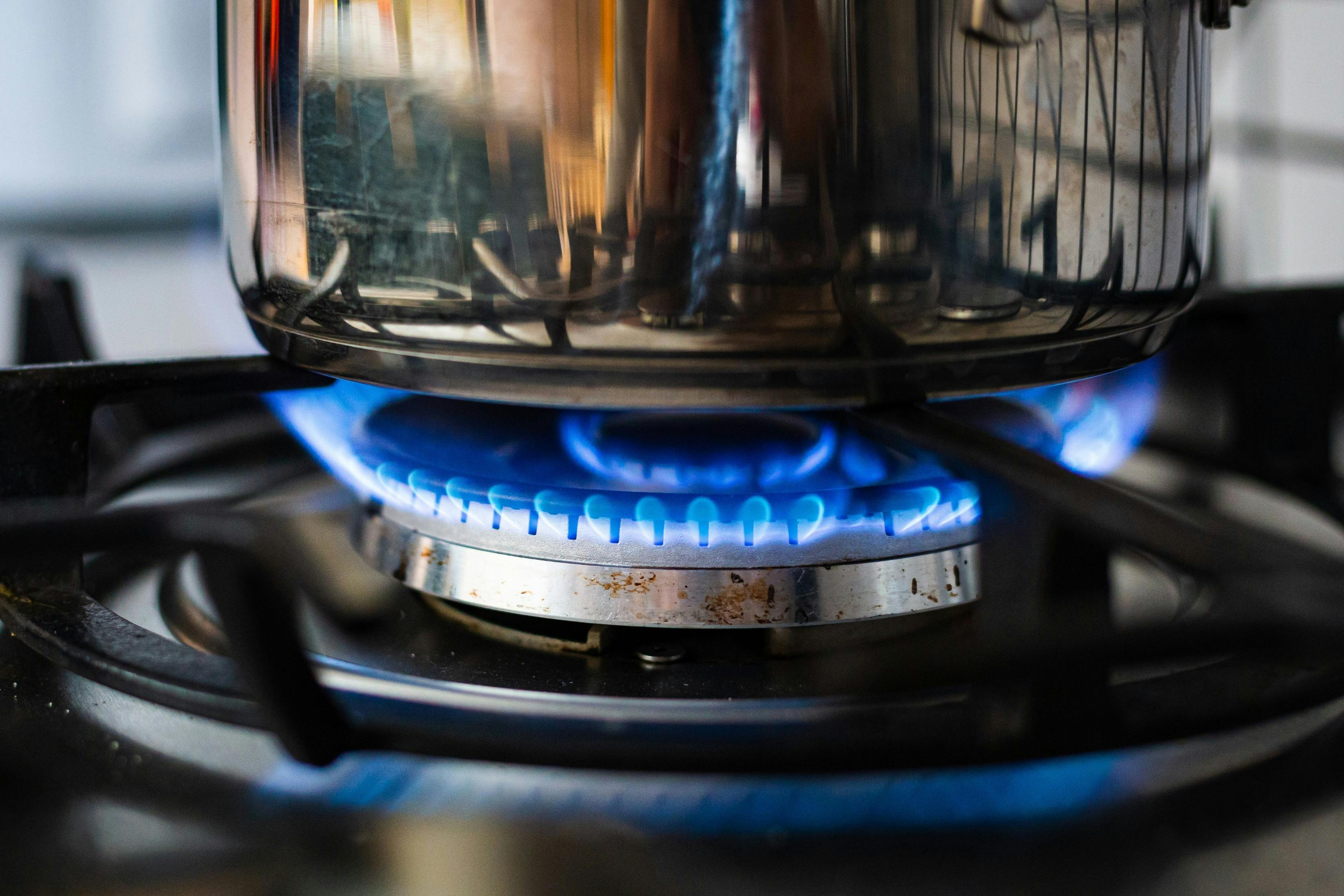 How Does the Green Gas Levy Affect Businesses?